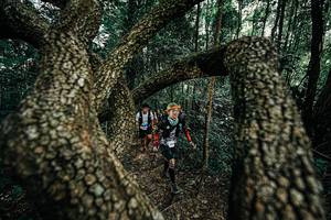 BIB: 
                            <button type="button" onclick="openModal(25392736)" class="btn btn-primary btn-sm float-right btn-popup" data-toggle="modal" data-target=".modal-high-quality">
                        <i class="fas fa-shopping-cart"></i> Add to Cart
                    </button>
                                            <button type="button" onclick="isThisMe(25392736, true)" class="btn btn-success btn-sm float-right btn-popup btn-isme hidden" data-toggle="tooltip" data-placement="bottom" title="นี่คือรูปของคุณใช่ไหม คลิกที่นี่เพื่อเอาเข้าอัลบั้ม">
                        <i class="fas fa-plus"></i> Add to album
                    </button>
                    <button type="button" onclick="isThisMe(25392736, false)" class="btn btn-warning btn-sm float-right btn-popup btn-isnotme hidden">
                        <i class="fas fa-ban"></i> Remove from album
                    </button>